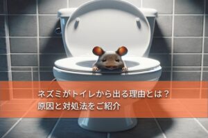 トイレの中から現れたネズミ